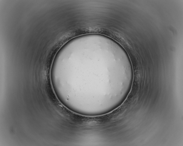 X0000113530643200910161350