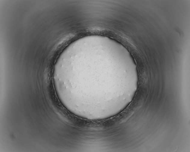 X0000113530644200910161350