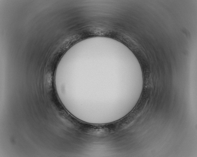 X0000113530646200910161351