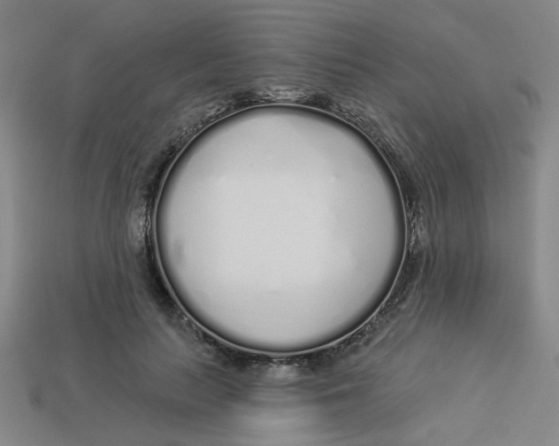 X0000113530647200910161351