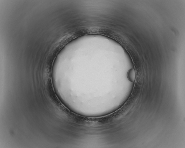 X0000113530648200910161351