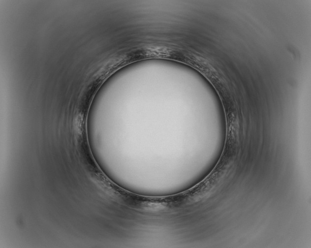 X0000113530649200910161351