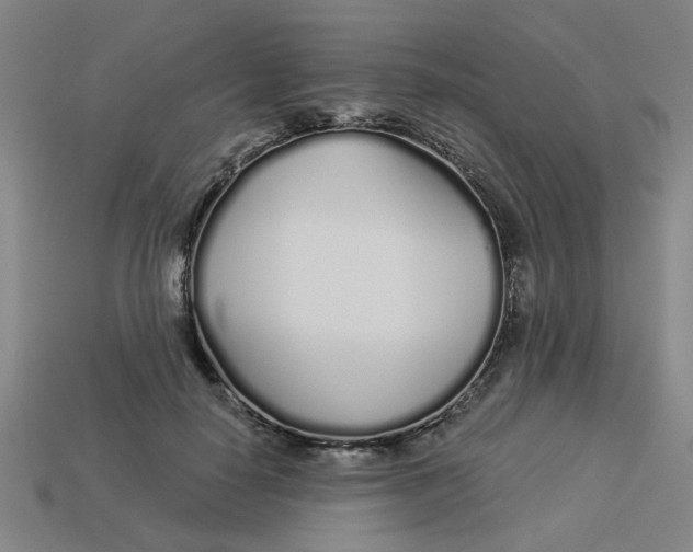 X0000113530650200910161351