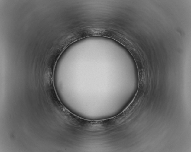 X0000113530651200910161351