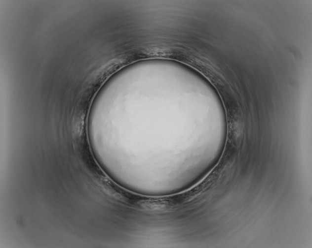 X0000113530652200910161351