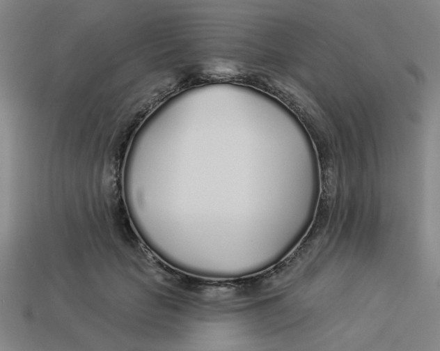 X0000113530653200910161351