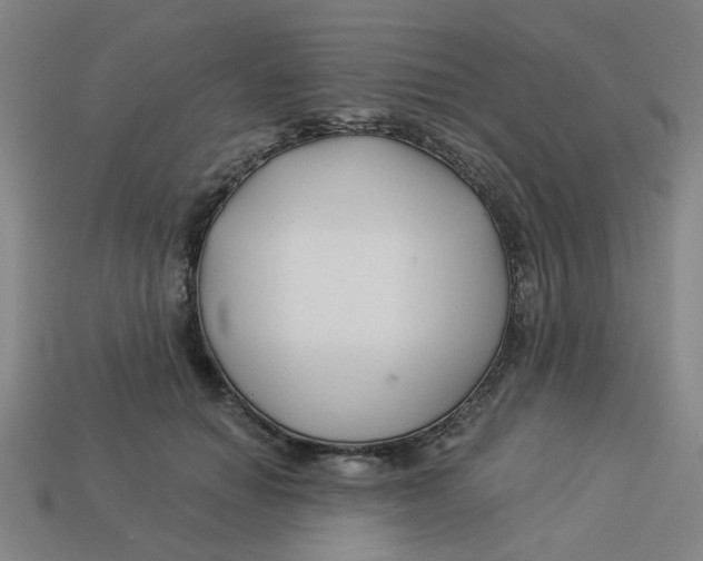 X0000113530654200910161351