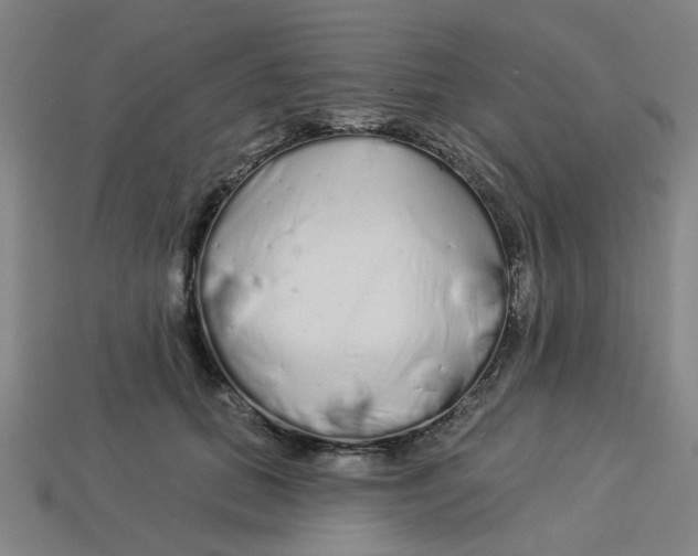 X0000113530655200910161351