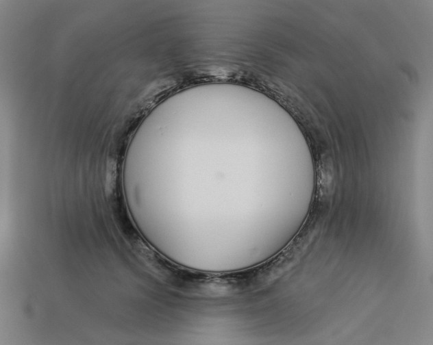 X0000113530656200910161351