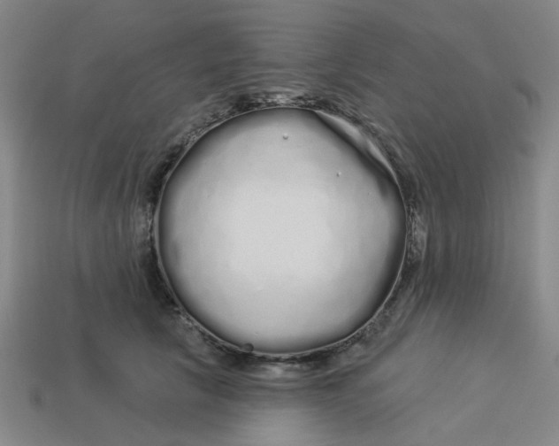 X0000113530657200910161351