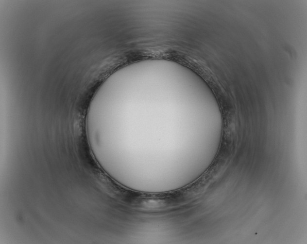 X0000113530658200910161351