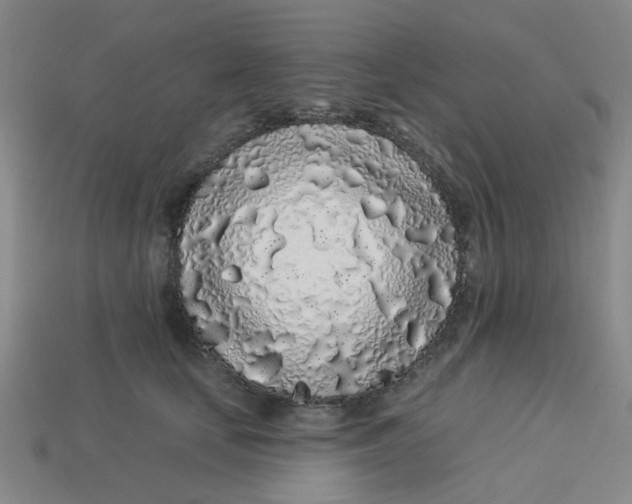 X0000113530659200910161351