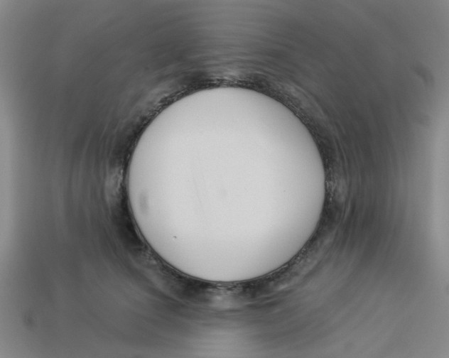 X0000113530660200910161351