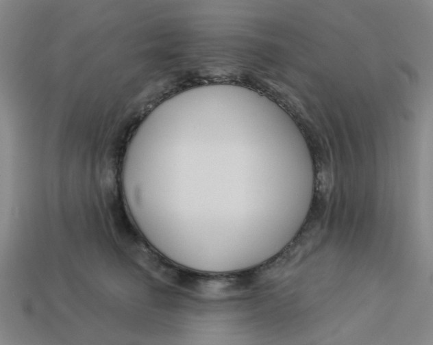 X0000113530662200910161351