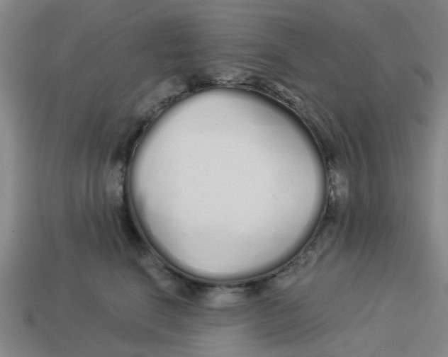 X0000113530664200910161351