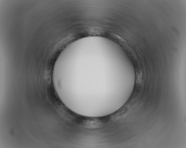 X0000113530666200910161351