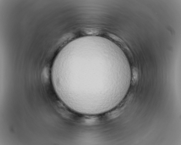 X0000113530667200910161351