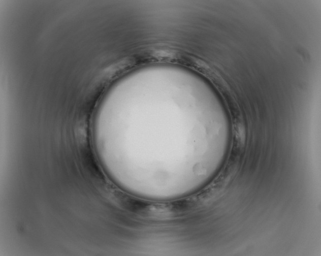 X0000113530668200910161351