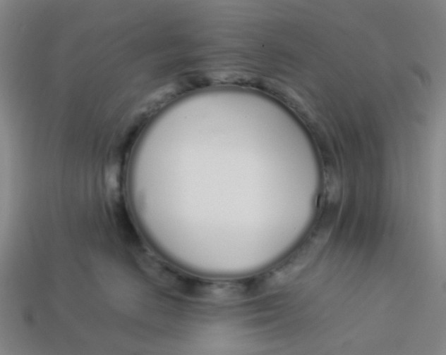 X0000113530670200910161351