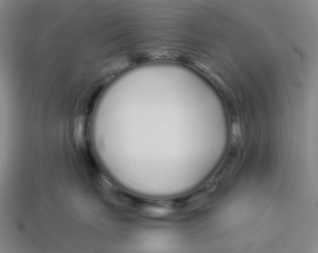 X0000113530671200910161351