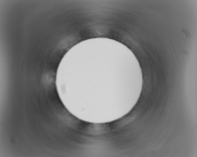 X0000113530672200910161351