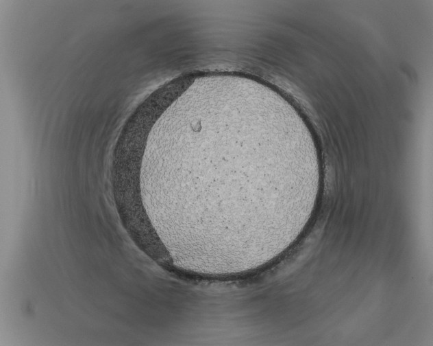 X0000113530673200910161350