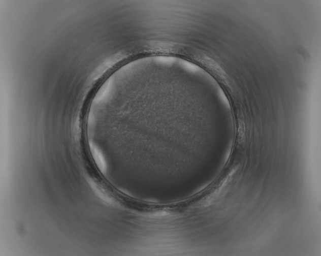 X0000113530674200910161350