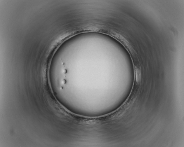 X0000113530675200910161350