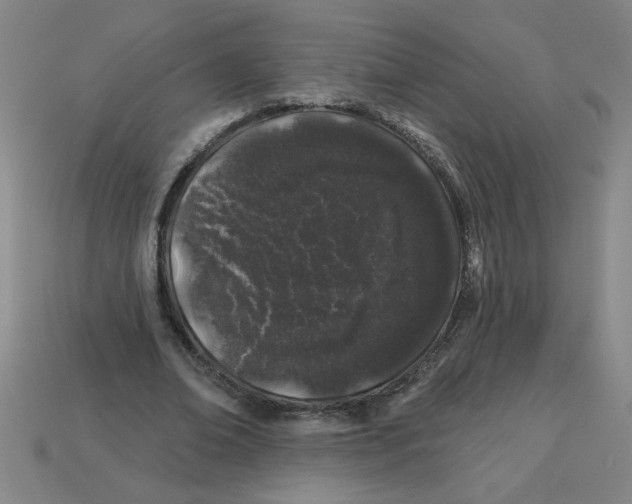 X0000113530678200910161350