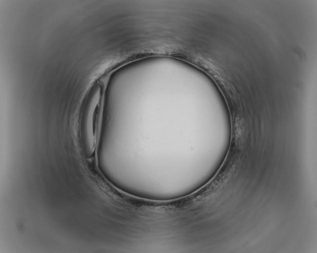 X0000113530679200910161350