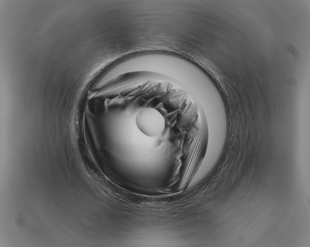 X0000113530680200910161350