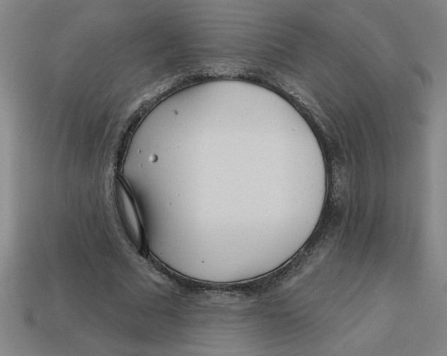 X0000113530681200910161350