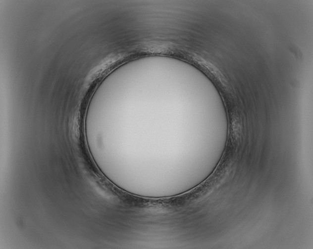 X0000113530682200910161350