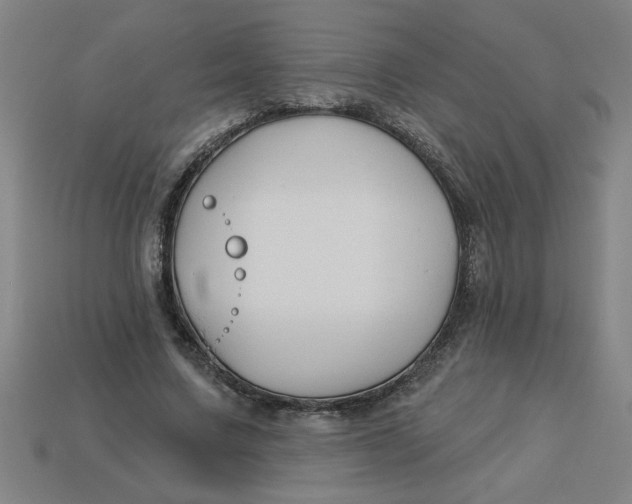 X0000113530683200910161350