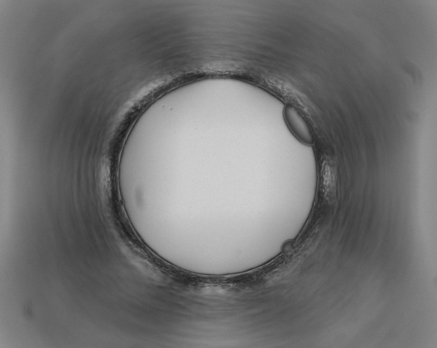 X0000113530684200910161350