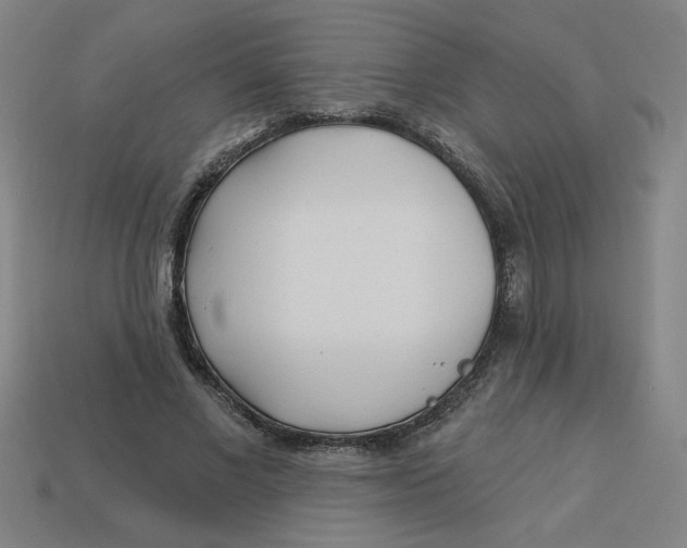 X0000113530685200910161350