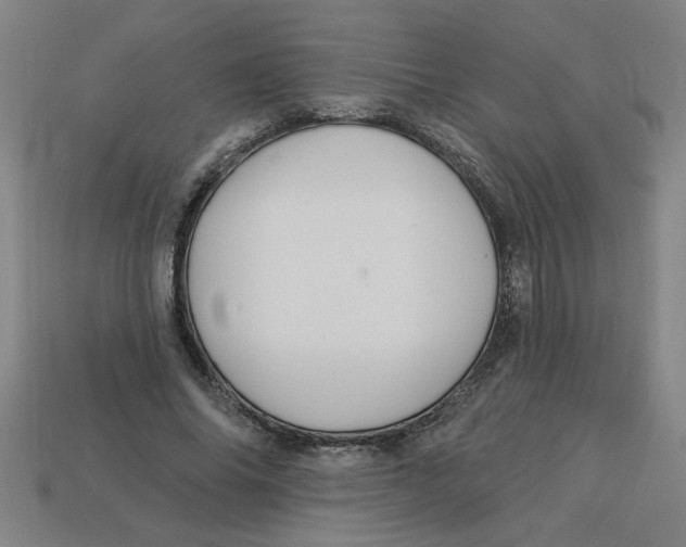 X0000113530686200910161350