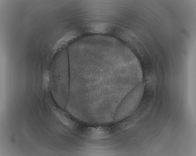 X0000113530688200910161350