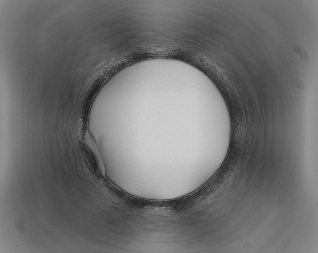 X0000113530689200910161350