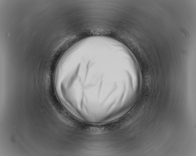 X0000113530690200910161350