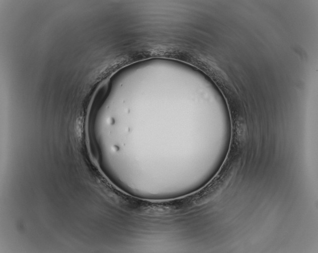 X0000113530691200910161350