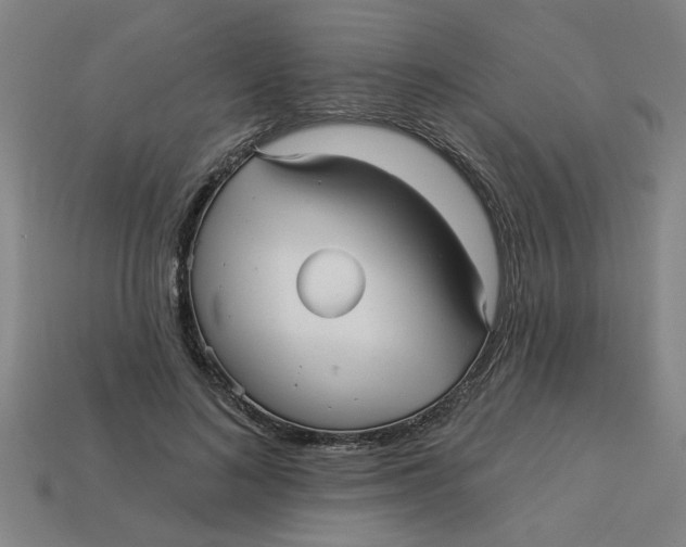 X0000113530692200910161350