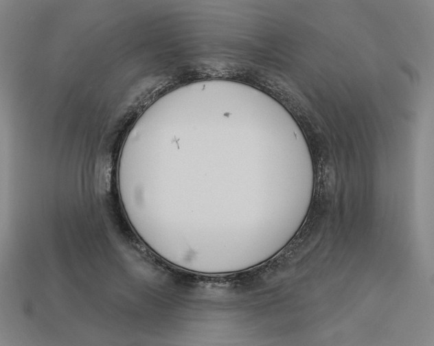 X0000113530694200910161350