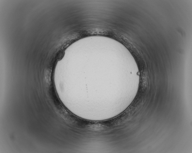 X0000113530695200910161350