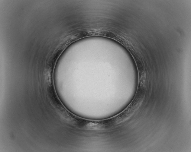 X0000113530699200910161350