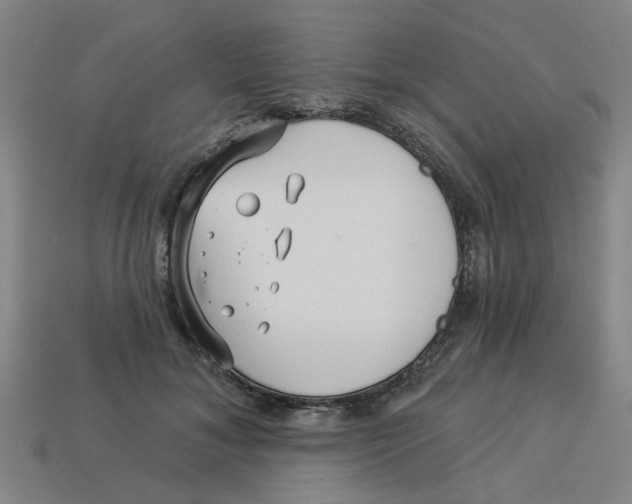 X0000113530700200910161350