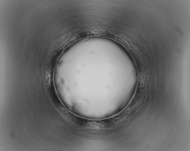 X0000113530703200910161350