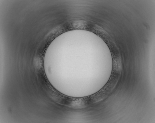 X0000113530705200910161350