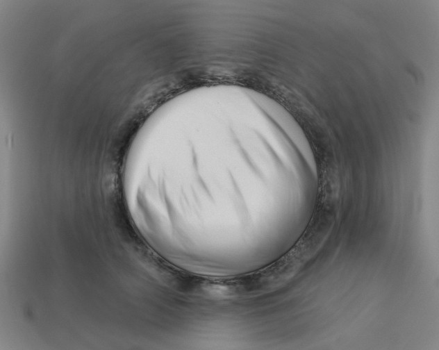 X0000113530706200910161350