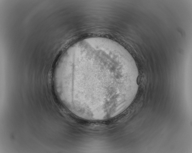 X0000113530708200910161350